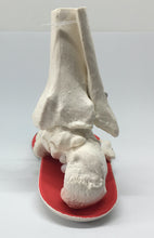 画像をギャラリービューアに読み込む, SK8INSOLL®  アクセル  通販レディメイドインソール