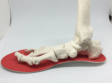 画像をギャラリービューアに読み込む, SK8INSOLL®  アクセル  通販レディメイドインソール