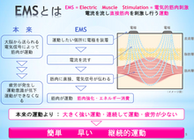 画像をギャラリービューアに読み込む, SERAPM Siluetron TechnolinkSports日本製ポータブルEMS