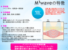 画像をギャラリービューアに読み込む, SERAPM Siluetron TechnolinkSports日本製ポータブルEMS