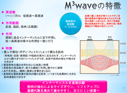 SERAPM Siluetron TechnolinkSports日本製ポータブルEMS – SK8INSOLL