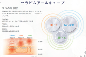 Technolink Sports Portable Ultrasound Machine made in Japan